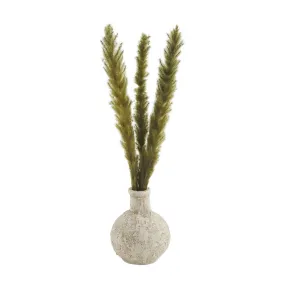 Green Preserved Pampas Vase