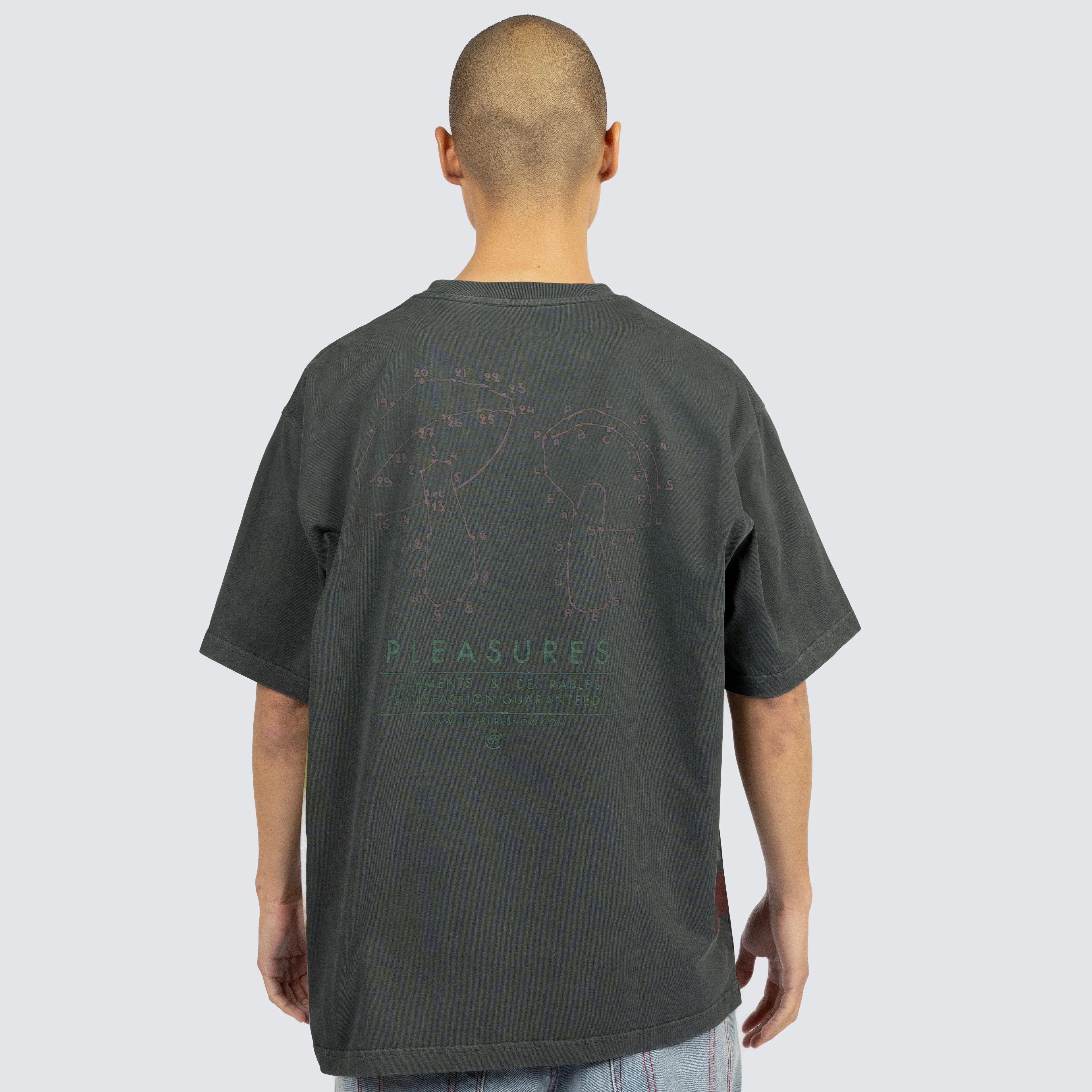 Pleasures Evolution Heavyweight SS Tee